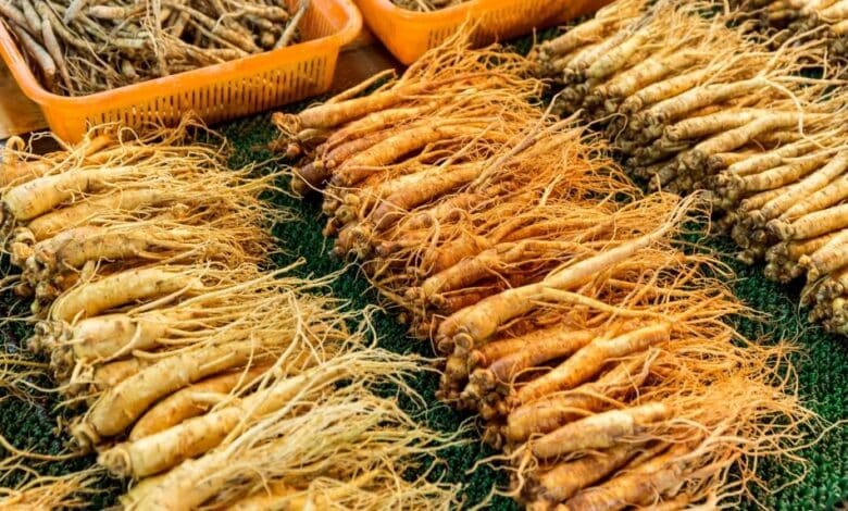 Ginseng Nedir? Faydaları ve Kullanımı