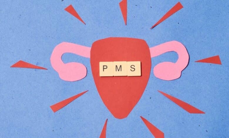 PMS Nedir?